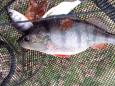 IMG-20150307-WA0001