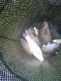 IMG-20150531-WA0003
