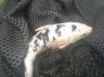 IMG-20150531-WA0002